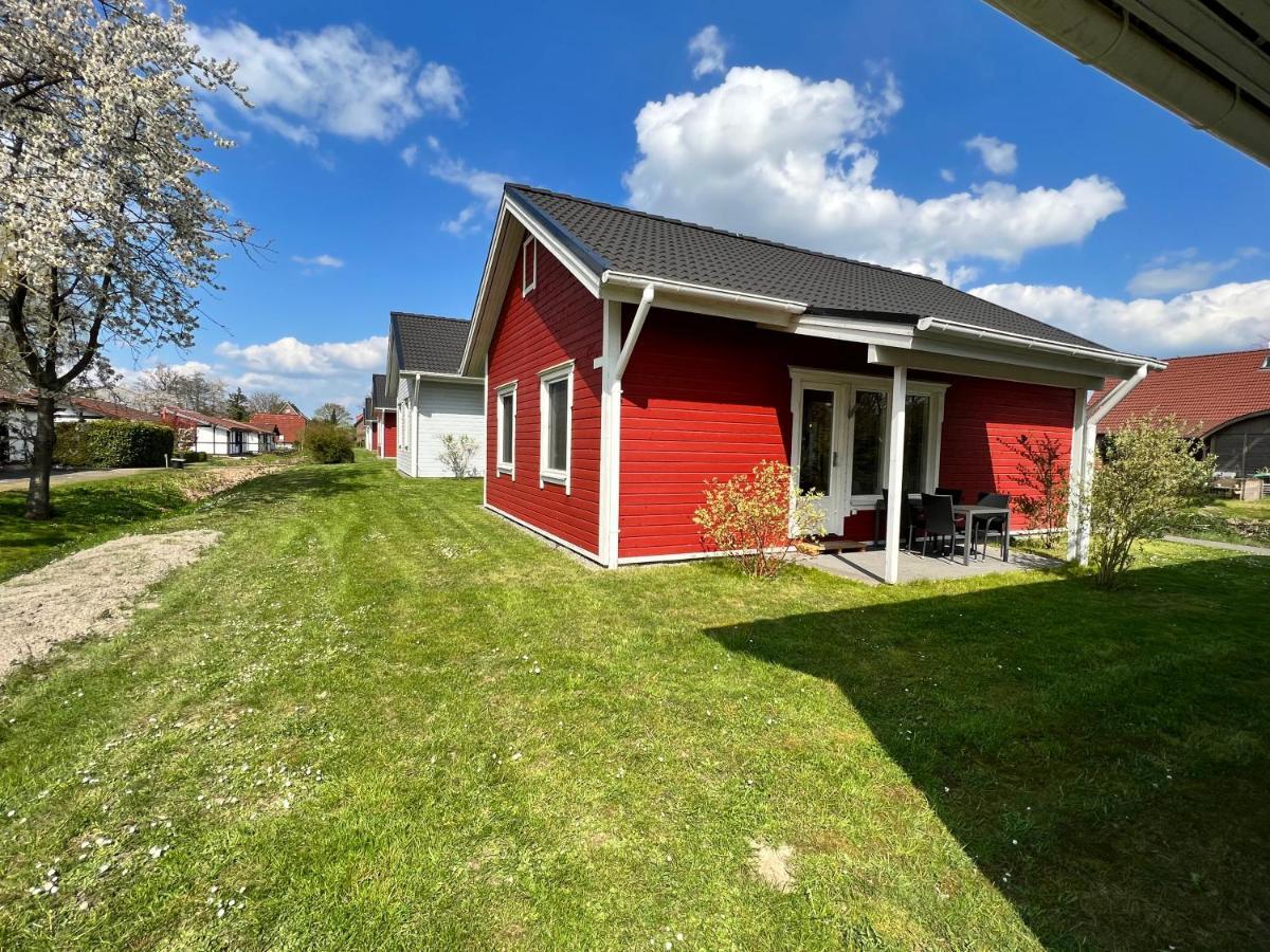 Ferienhaus Nordland Bachenbrock Exteriör bild
